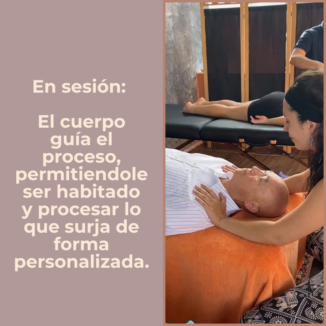 Teoría somática para cerrar