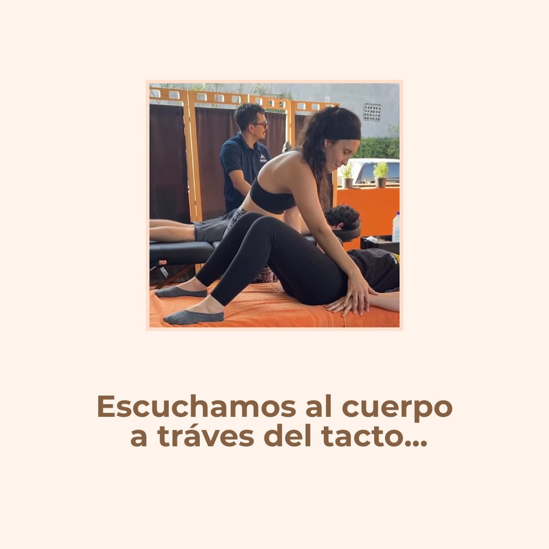 Fuerza vs. gentileza